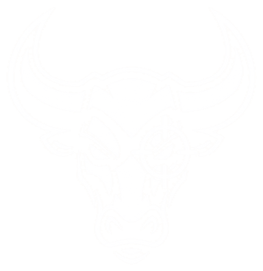Bulls Eye